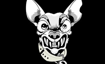 CTF Chiuaua em Londrina