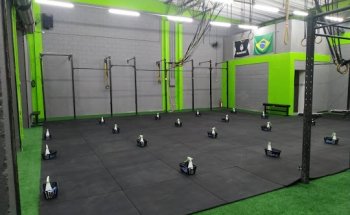 CF Blackfoxx
