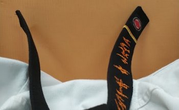 Academia de Artes Marciais Moacir Lopes