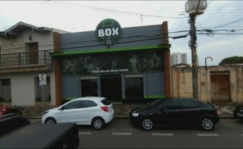 Box Araras 1