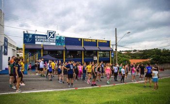 Cross Experience Trevisan