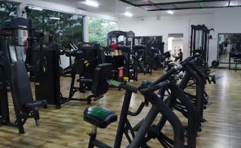 Arena Training