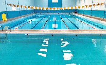 WS Natação e Musculação Curitiba