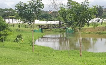 Clube Jardim das Hortênsias