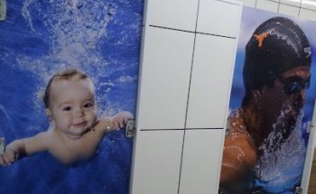 Golfinhos atividades aquáticas