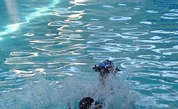 Aquafit Academia de Natação e Hidroginástica