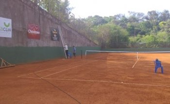 Play Tennis