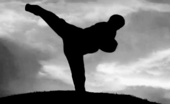 Academia Fênix Kung fu - Sanda