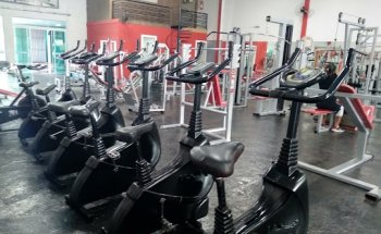 Academia Universitária de Musculação e Ginástica