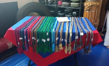 Academia Aguiar System Fight Coruja