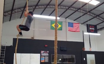 U - BOX® Cross Training