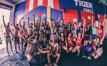 Tiger Force Intense Cross Training
