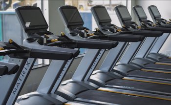 Academia Treee Wellness