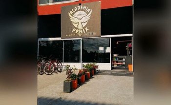 Academia Fênix