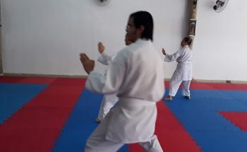 Ryu karate- Do Shotokan Avaré