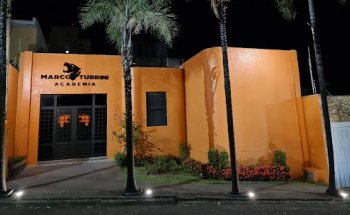 Marco Turrini - Academia