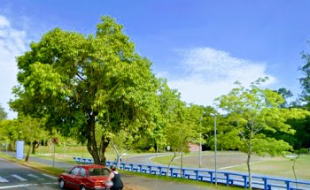 Estaçao saude do Parcao de Campo Bom