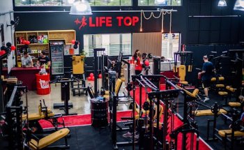 Academia Lifetop NH