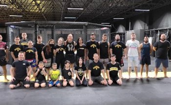Academia Killer Bees Campo Largo