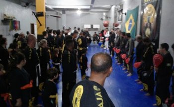 Academia Naja
