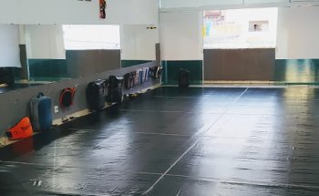 CT DIAMOND DOGS - MUAYTHAI