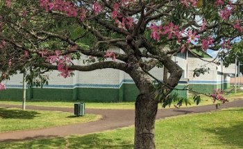 Academia Bio Training