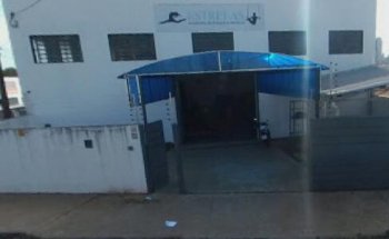 Estrelas Academia de Ginástica Artística