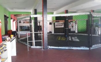 Escola de Campeões Maju Making Champions