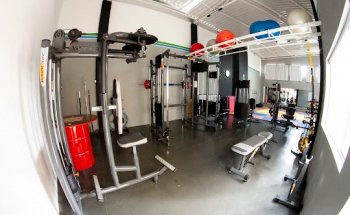 DYNAMICfit