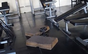 Top Trainer Academia