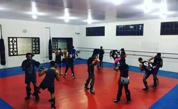 Academia Kodokan ®