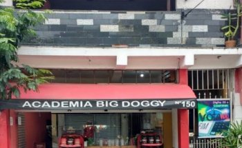 Academia Big Doggy