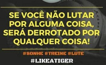 Academia The Tiger Team