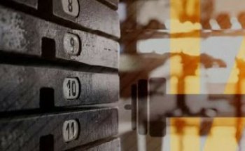 Ivana Alcará Fitness