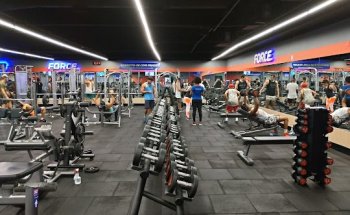 Selfit Feira de Santana: Musculação, Funcional, HIIT, FitDance, Boxe, Academia, Feira de Santana, BA