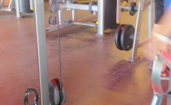Feira Fitness - Artemia