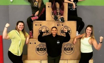 Box Plenus Floripa