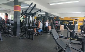 Academia Ellite