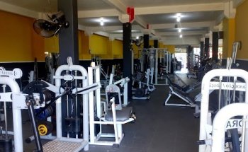 Academia Frank Systems