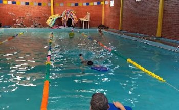 Academia Aquatica