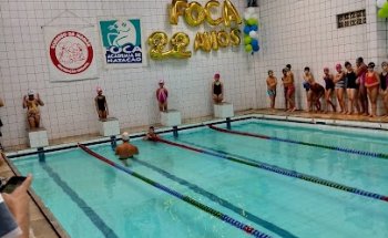 Foca Academia de Natação