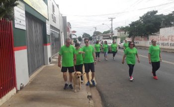 Clinica One Life