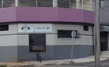 Marcelo Jorge Preparador Físico