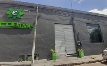ECO FITNESS PRO