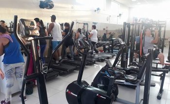 Mr Fitness Academia
