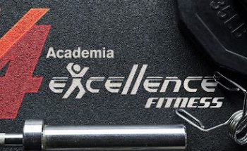 V4 Excellence Academia