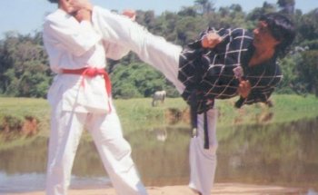 MESTRE SON ARTES MARCIAIS