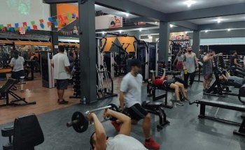 Miotto Academia