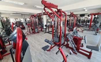 Body Intensity Academia