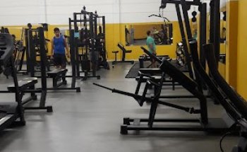 Life Sport Academia